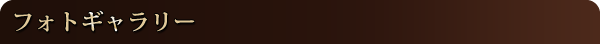 フォトギャラリー